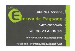 Emeraude Paysage - Brunet Aristide