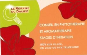 Le Repaire Du Druide