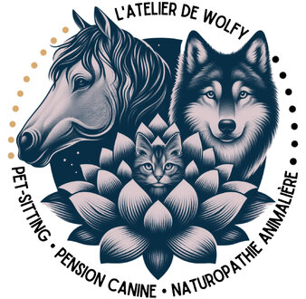 L’atelier de Wolfy - Pension canine familiale